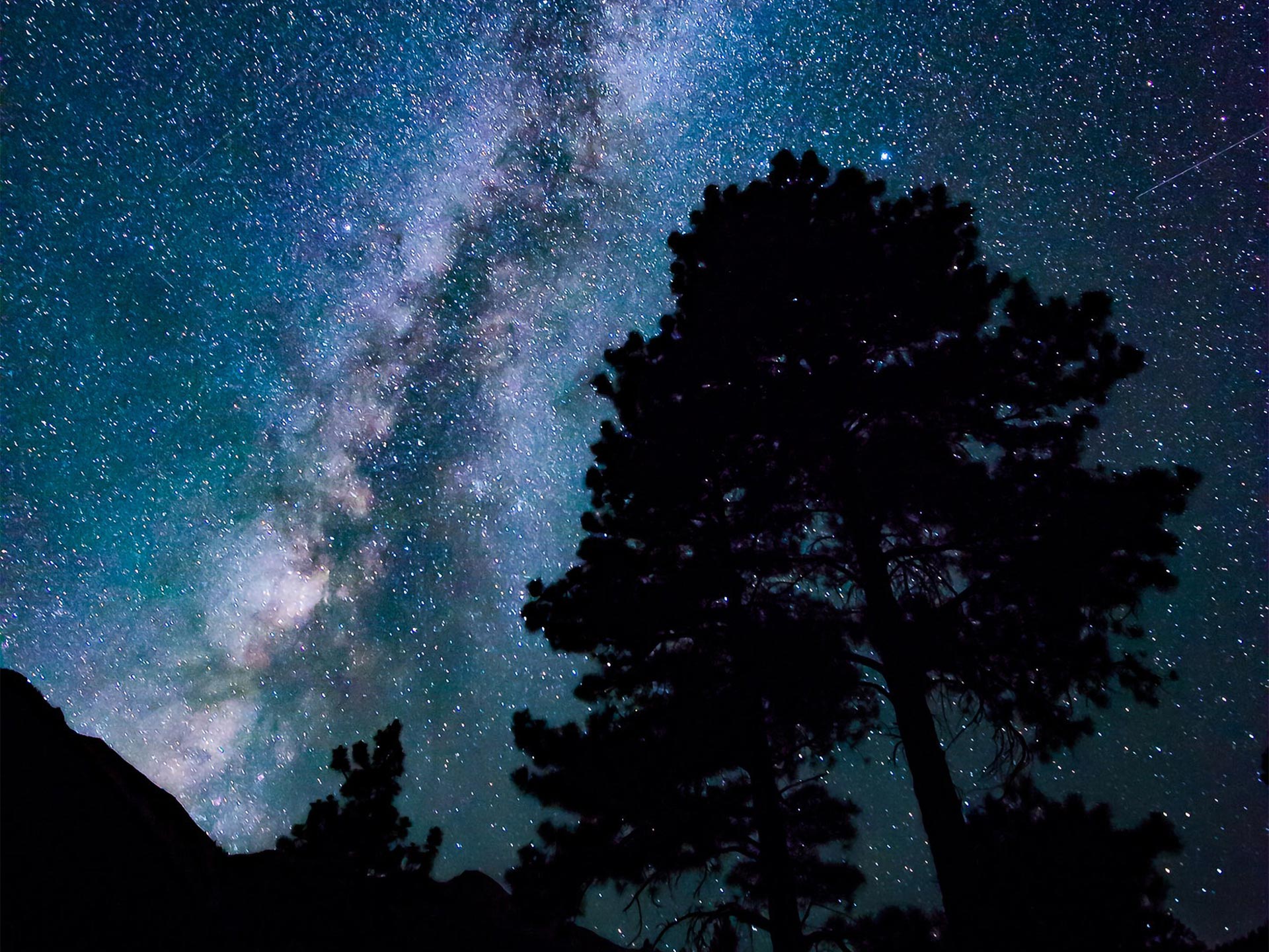 Trees and mountains silhouetted against the Milky Way